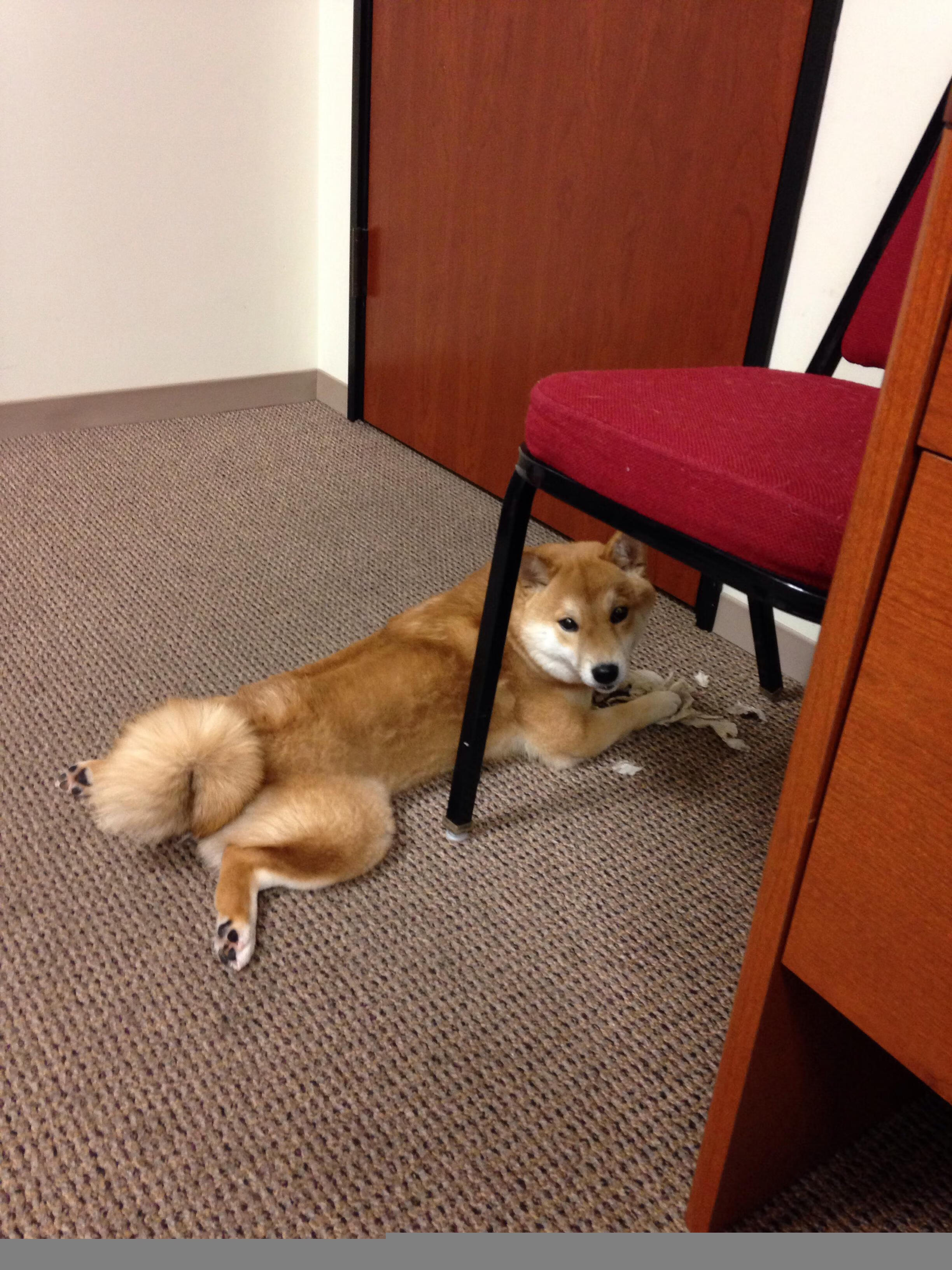 爱游戏体育app-中超球员传球成功率排行，中超球员进球排行榜