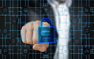 爱游戏app推荐-体育特许经营管理制度构建与案例研究，体育行业特有职业培训试点单位